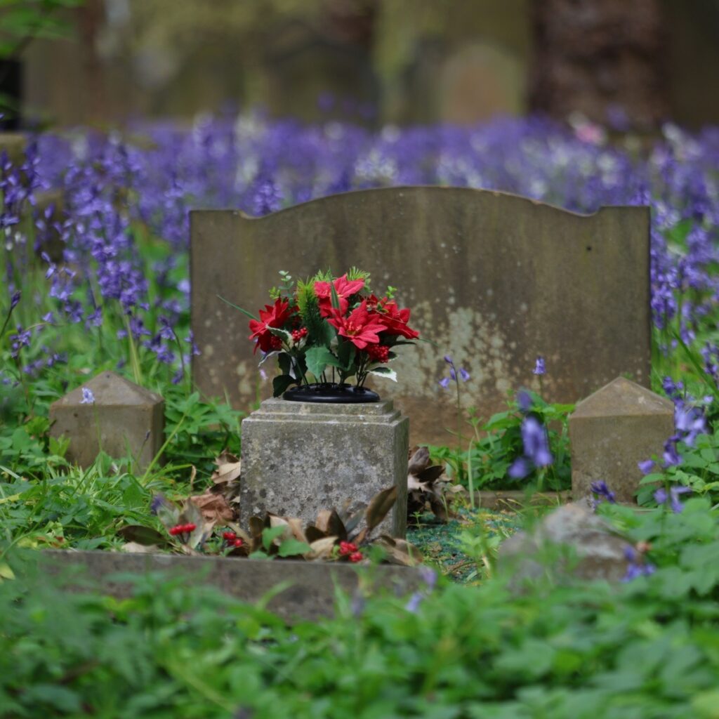 Bluebells at Key Hill Cemetery