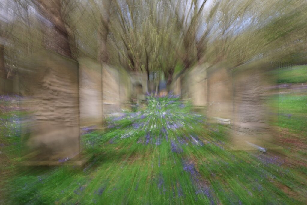 Bluebells at Key Hill Cemetery