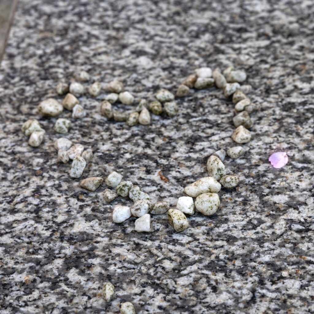 Blossom memories from Oozells Square