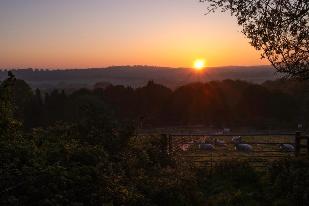 Photographing Winchester