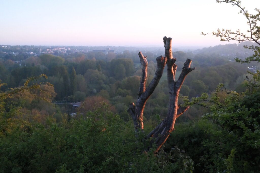 Photographing Winchester
