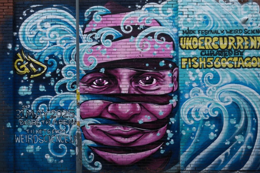 Photographing Digbeth: Street art by Ginger Dan.