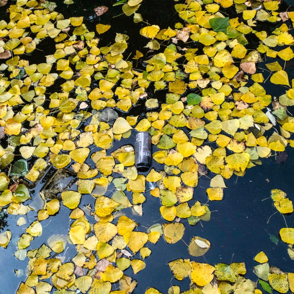Digbeth Canal walk 