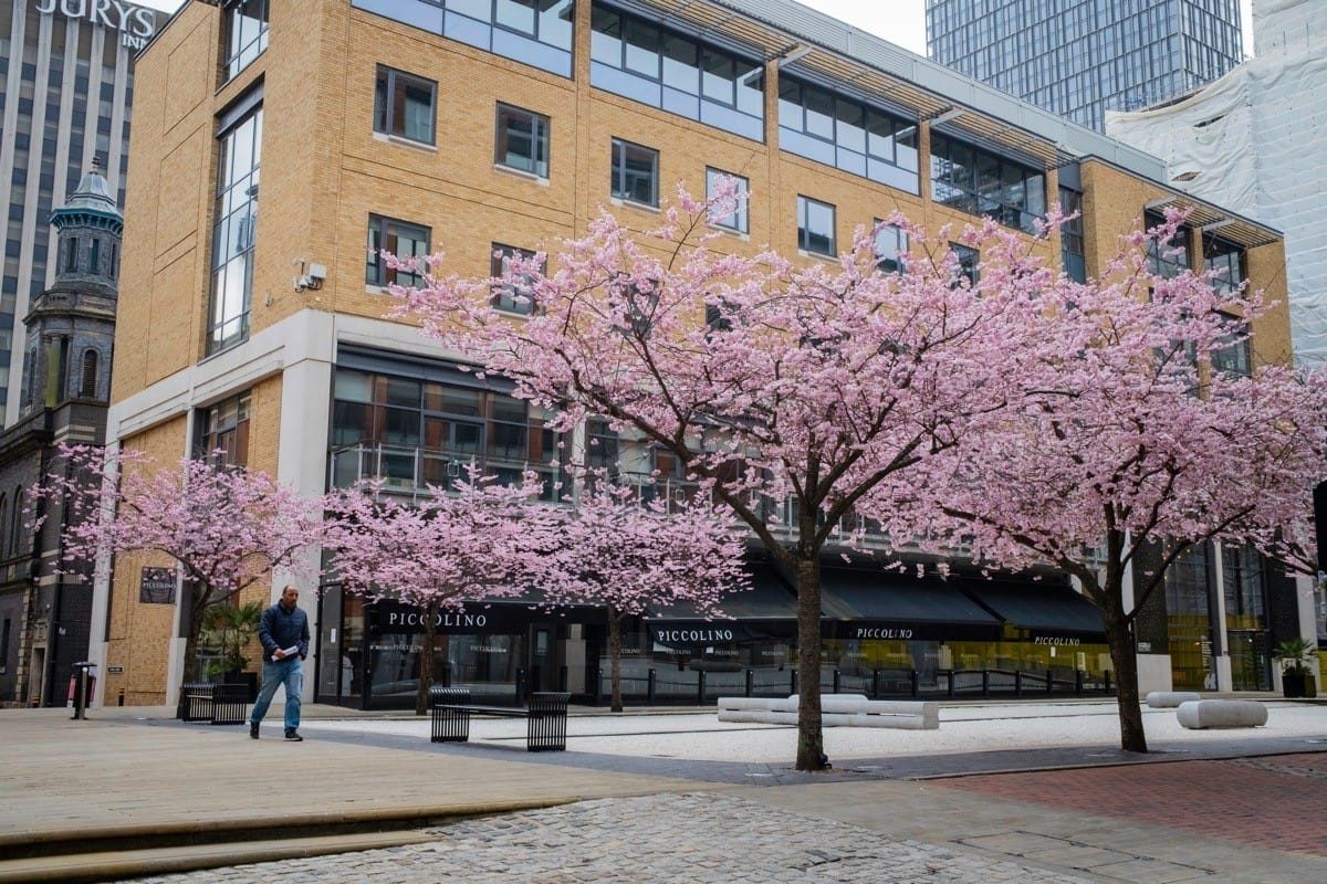 Oozell's Square Blossom Birmingham