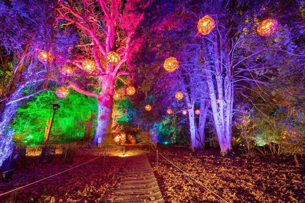 Spectacle of Light, Compton Verney