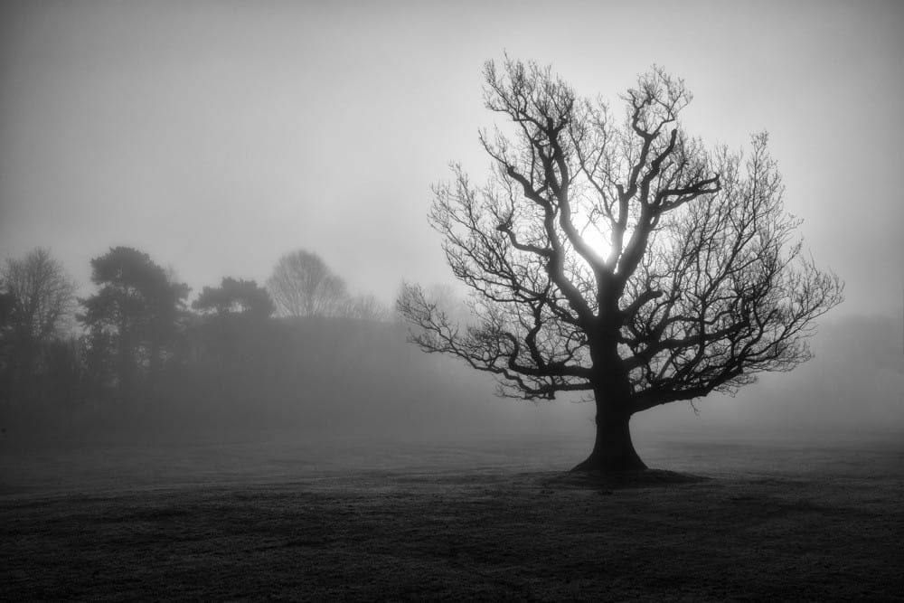 Foggy Sunrise in Knowle, Solihull