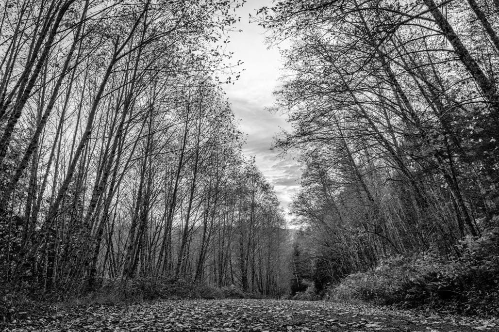 Riffe Lake, Washington State, USA, Nov 2023