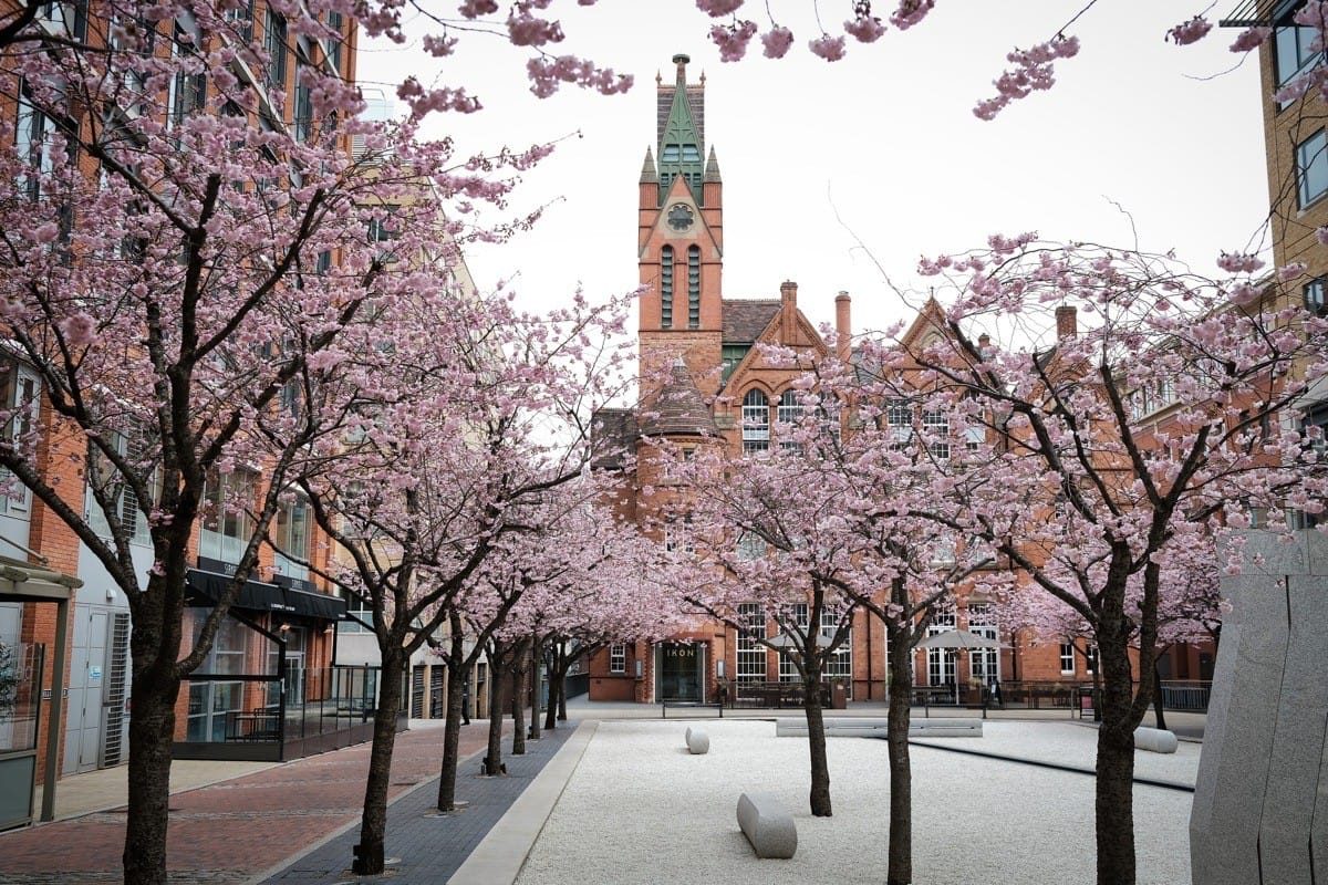 Oozell's Square Blossom Birmingham