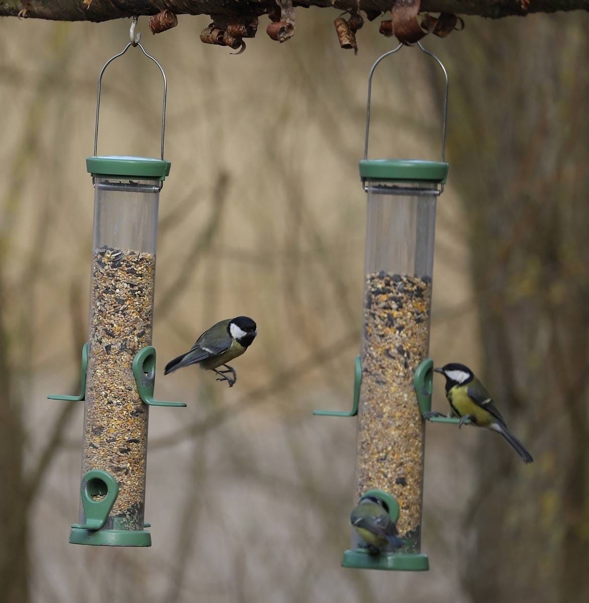Middleton Lakes RSPB
