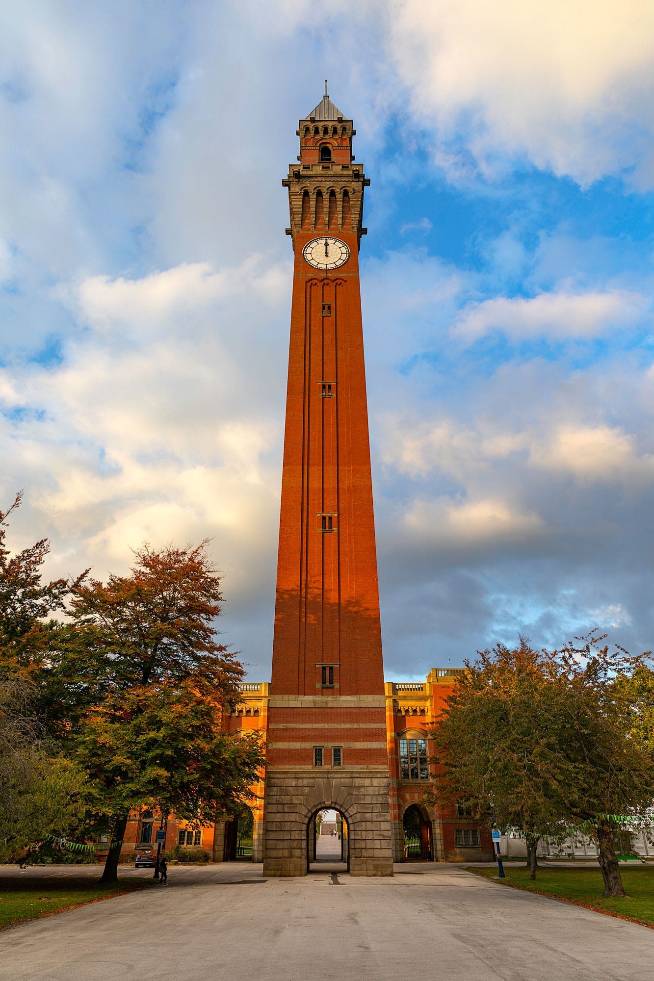 Old Joe in Golden Hour
