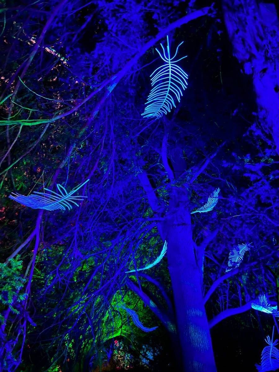 Spectacle of Light, Compton Verney