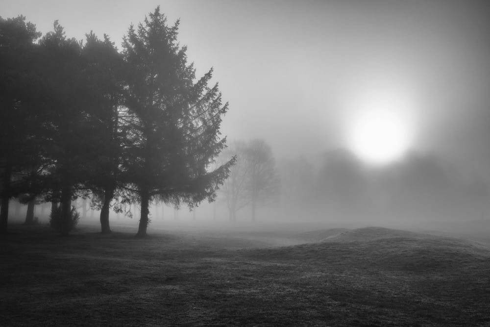 Fog in the morning