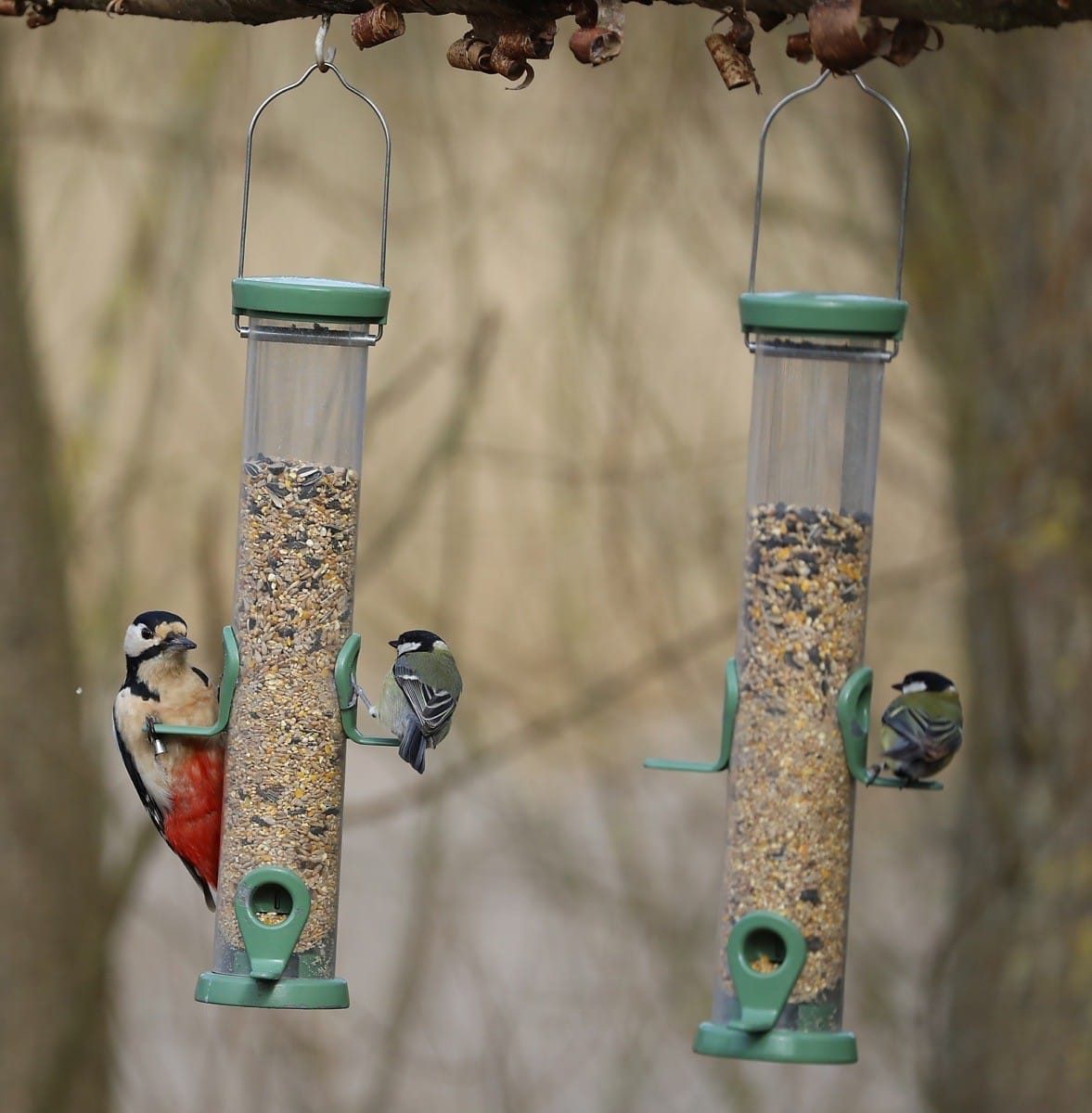 Middleton Lakes RSPB