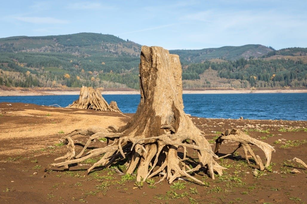 Riffe Lake, Washington State, USA, Nov 2023
