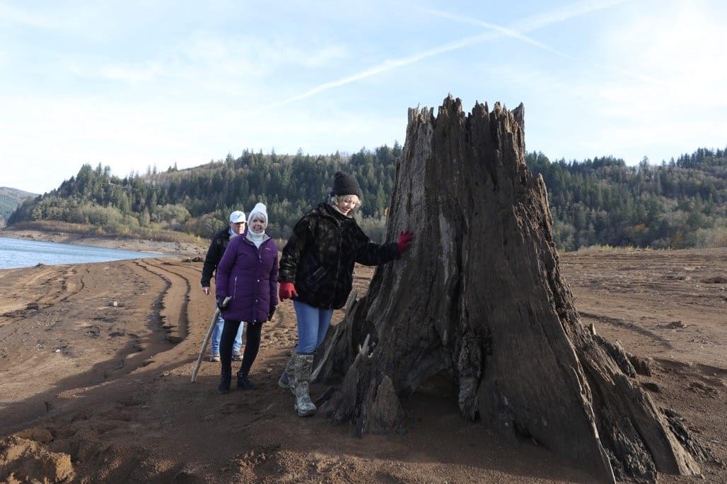 Riffe and Mayfield Lake, Washington State, USA, November 2023.