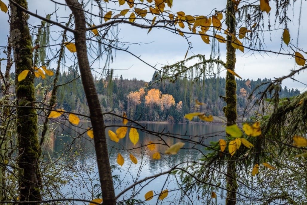 Mayfield Lake, Washington State, USA, November 2023.