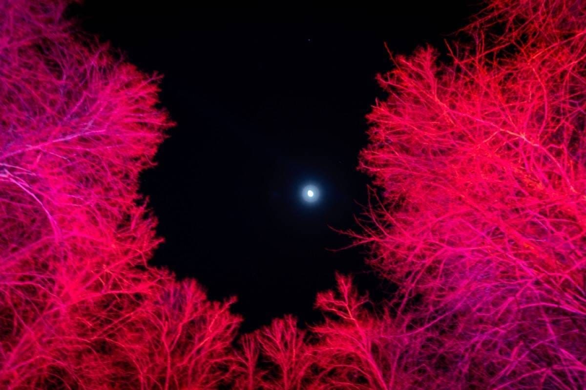 Spectacle of Light, Compton Verney