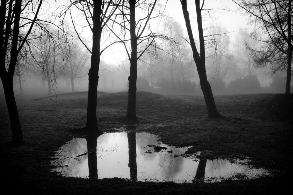 Foggy Sunrise in Knowle, Solihull.