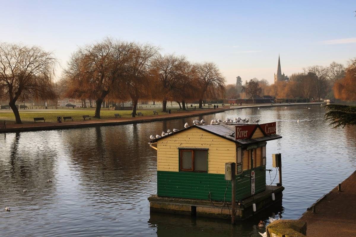Seagulls on the Boat Hire Hut, River Avon, Stratford upon Avon.