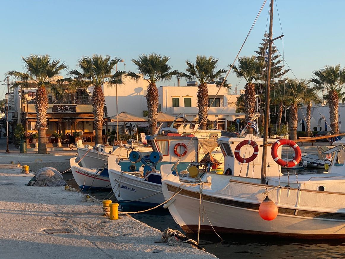 Boats in harbour