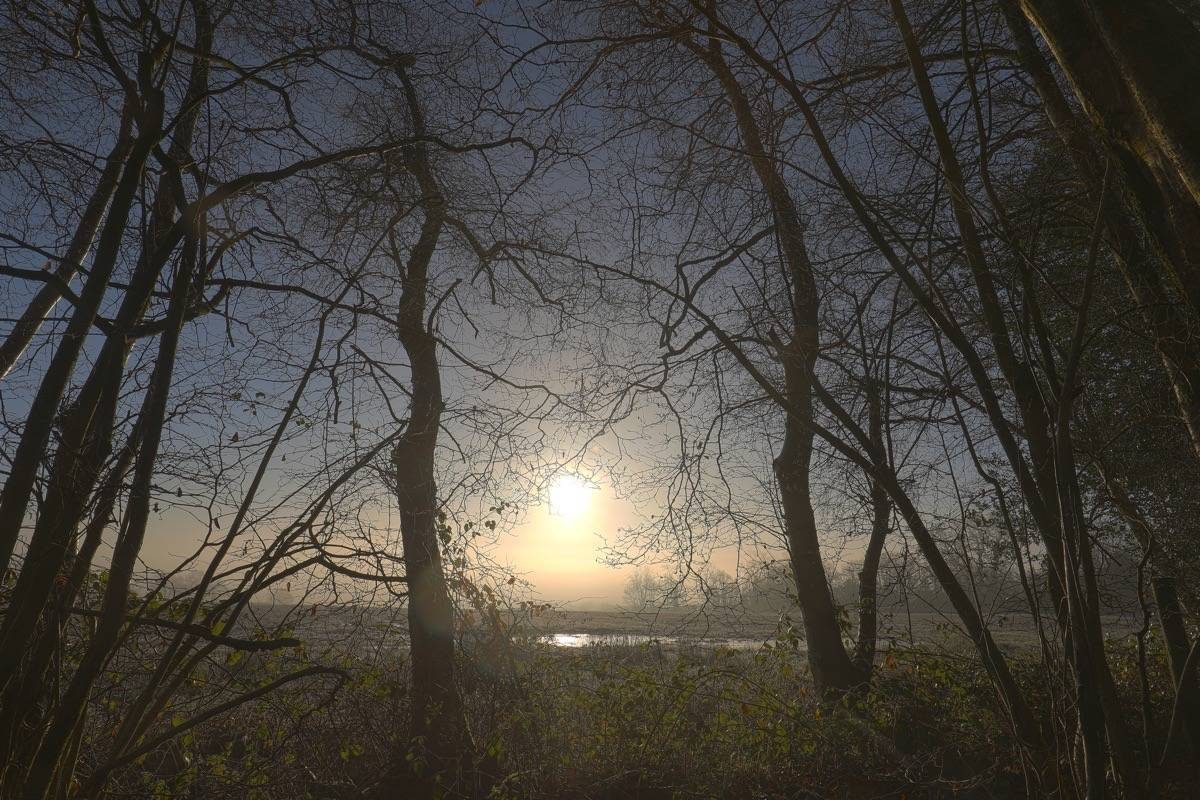 Sunrise in Hey Wood