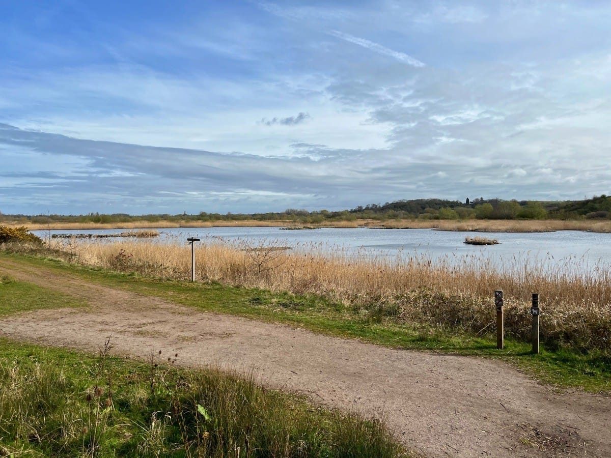 Middleton Lakes RSPB
