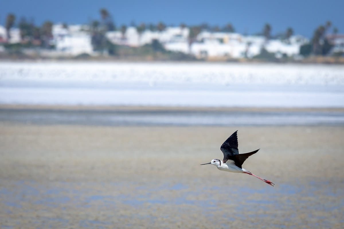 Aliki Salt Lake, Kos Island