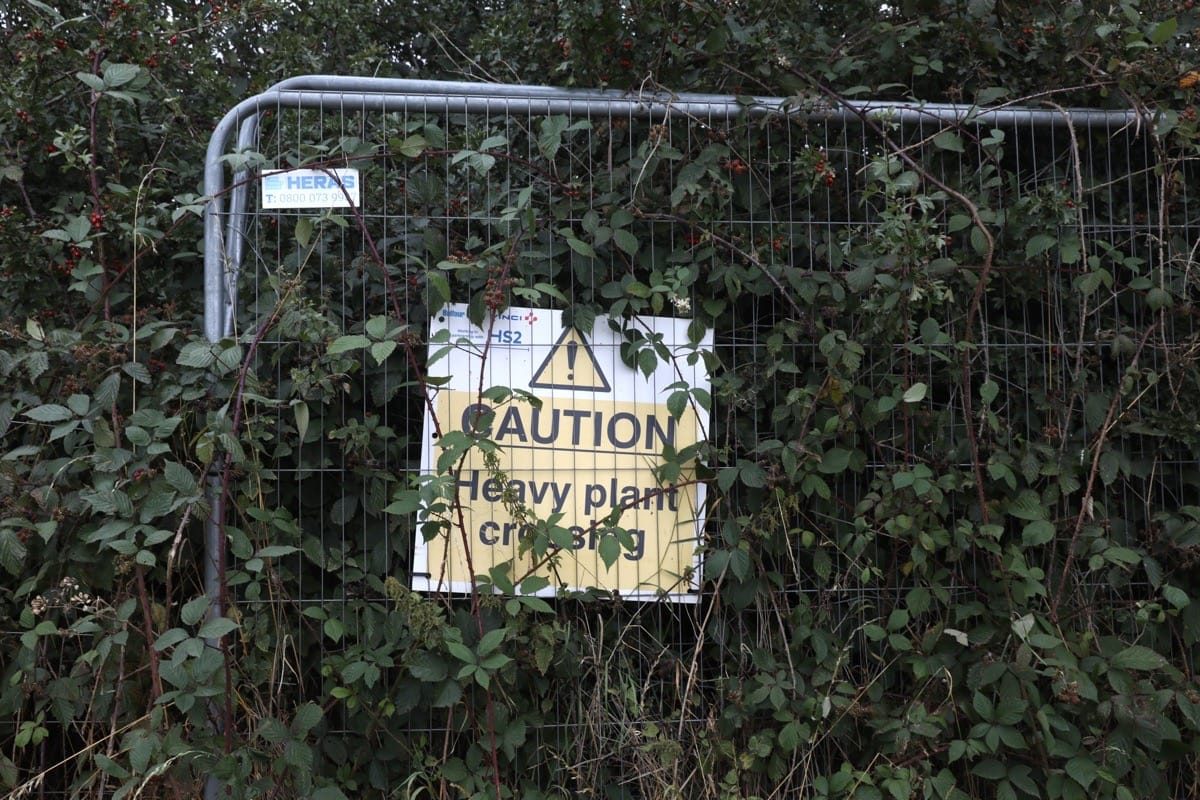 16 Acre wood, HS@ works, Berkswell, Sept 2024