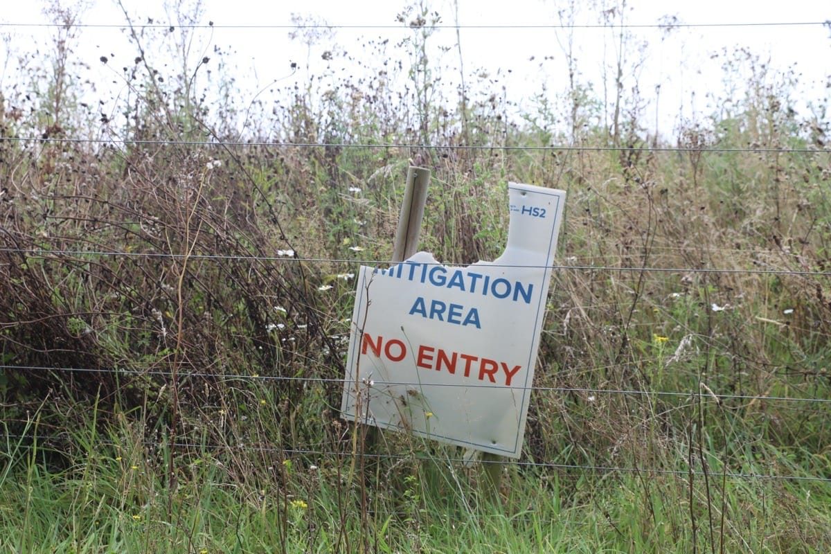 16 Acre wood, HS@ works, Berkswell, Sept 2024
