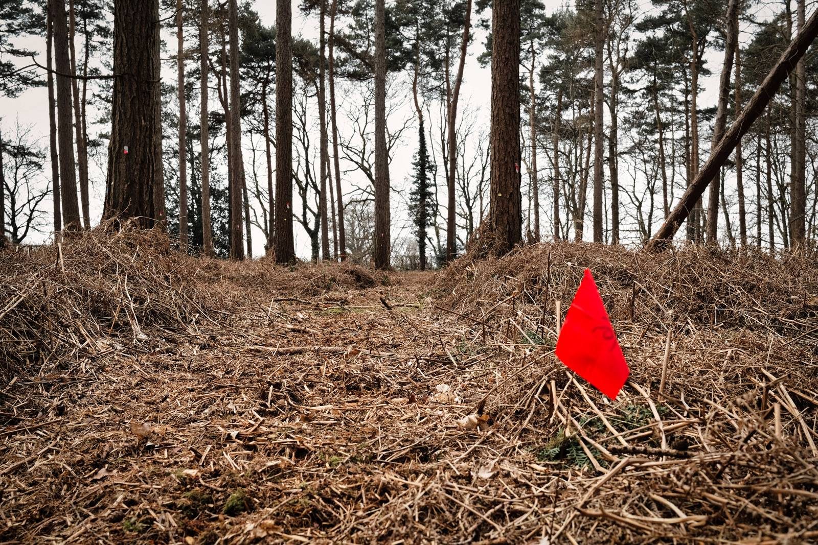 Sixteen Acre Wood