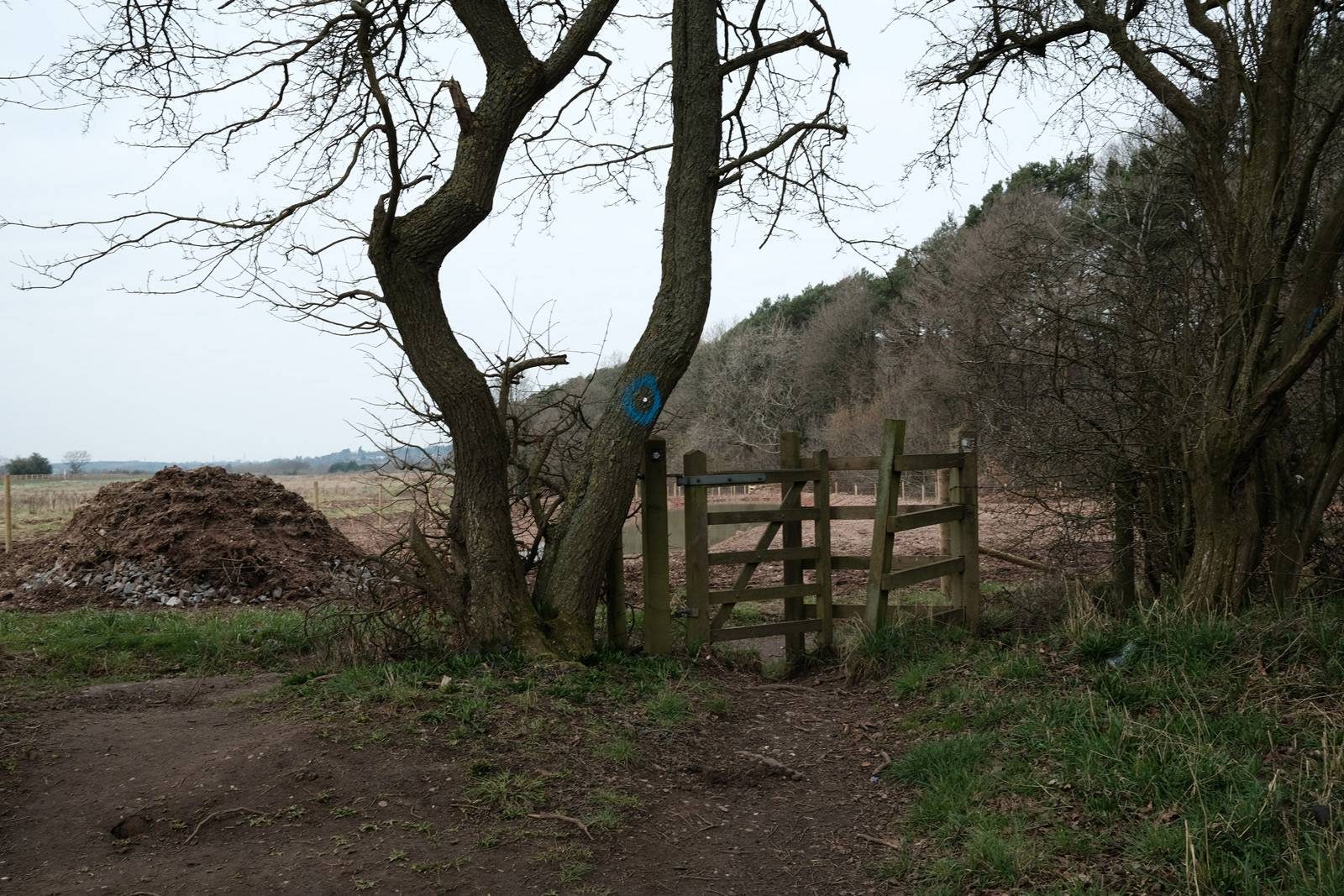 Sixteen Acre Wood March 2021