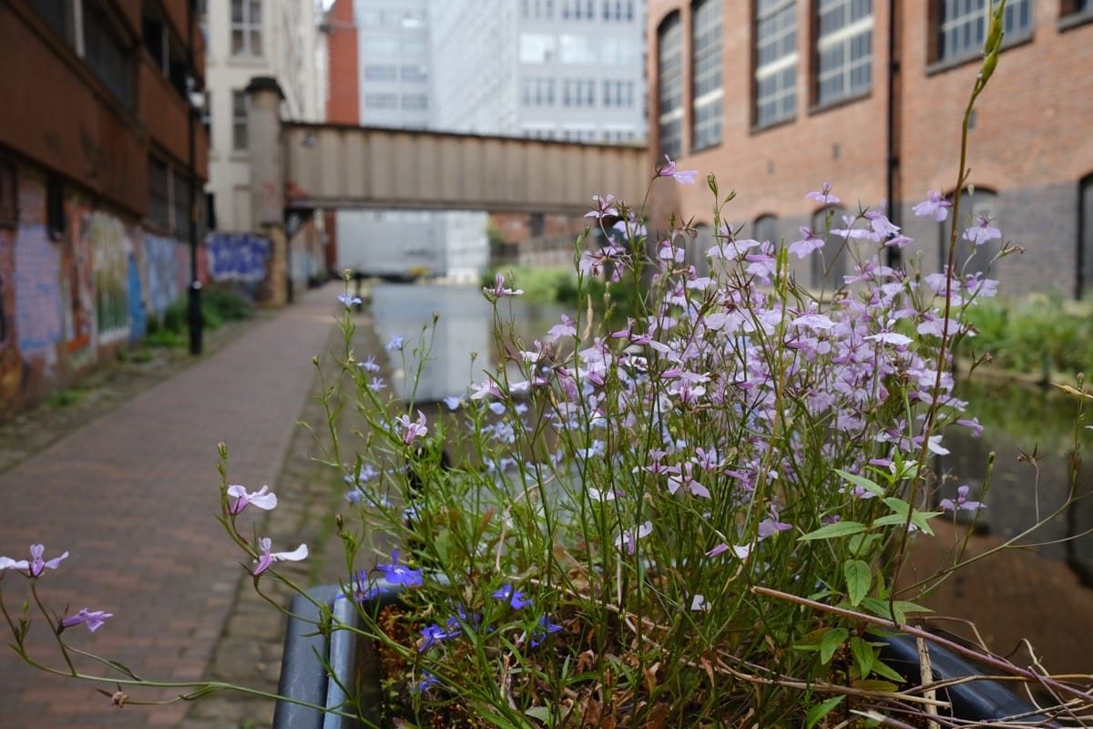 Manchester July 2022