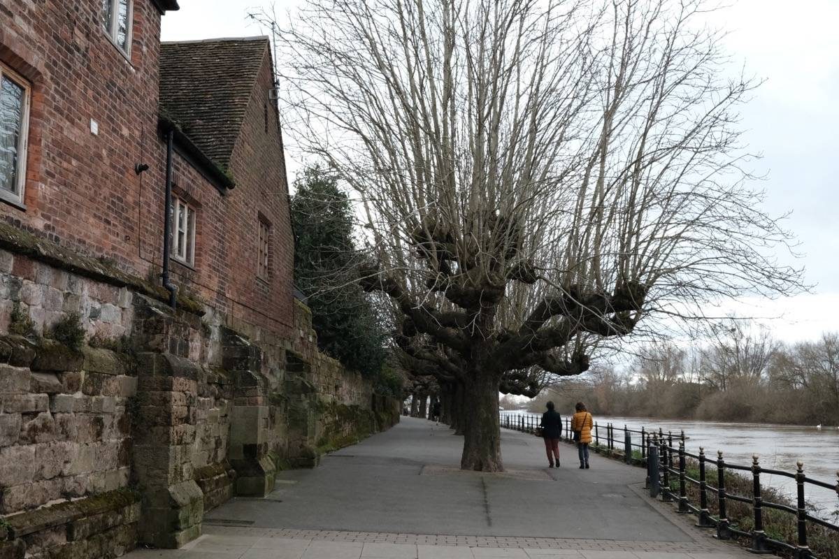 Winter walking along the River Severn.