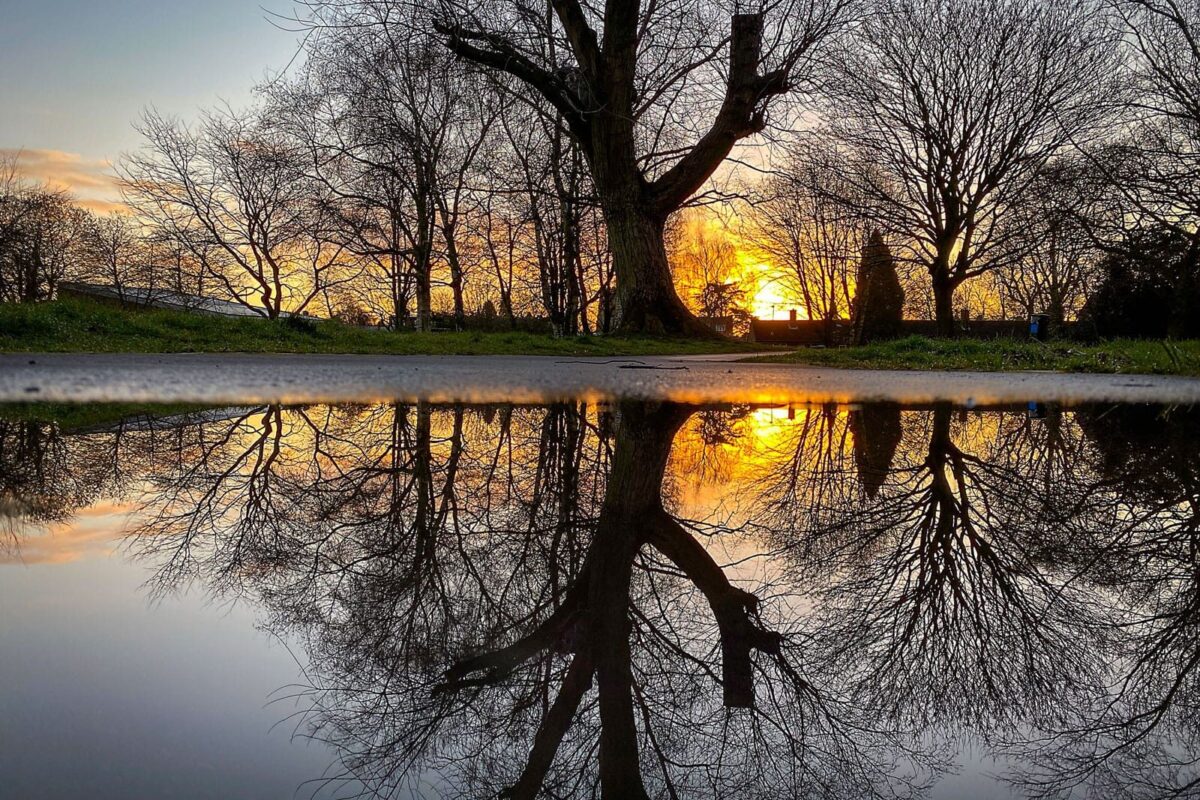 England’s Big Picture 03/2020