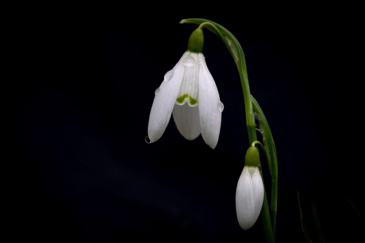 Spring is here