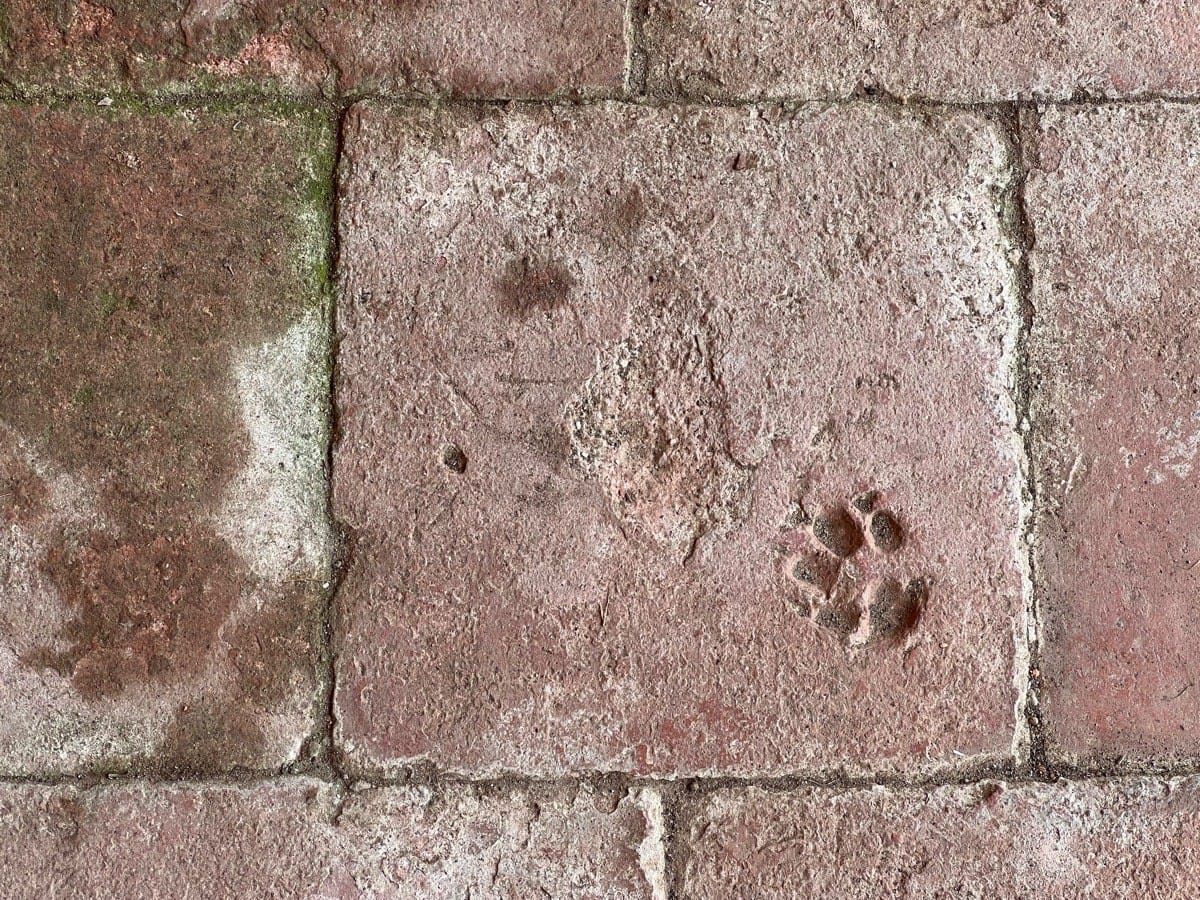 Hanbury Hall, National Trust, 2022