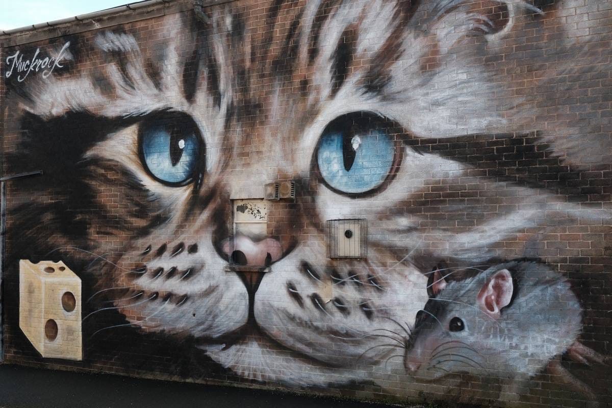 Leamington Street Art