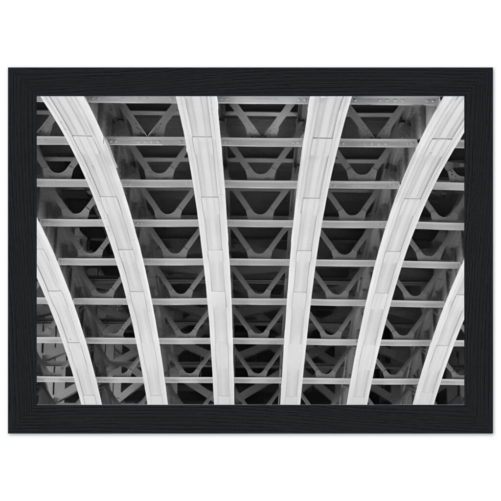Architectural details Framed Poster