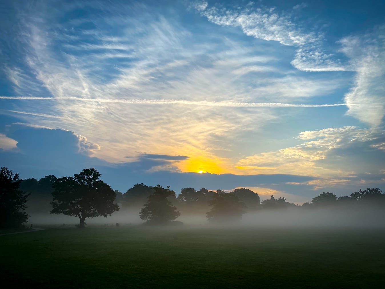 Knowle Park after the storms