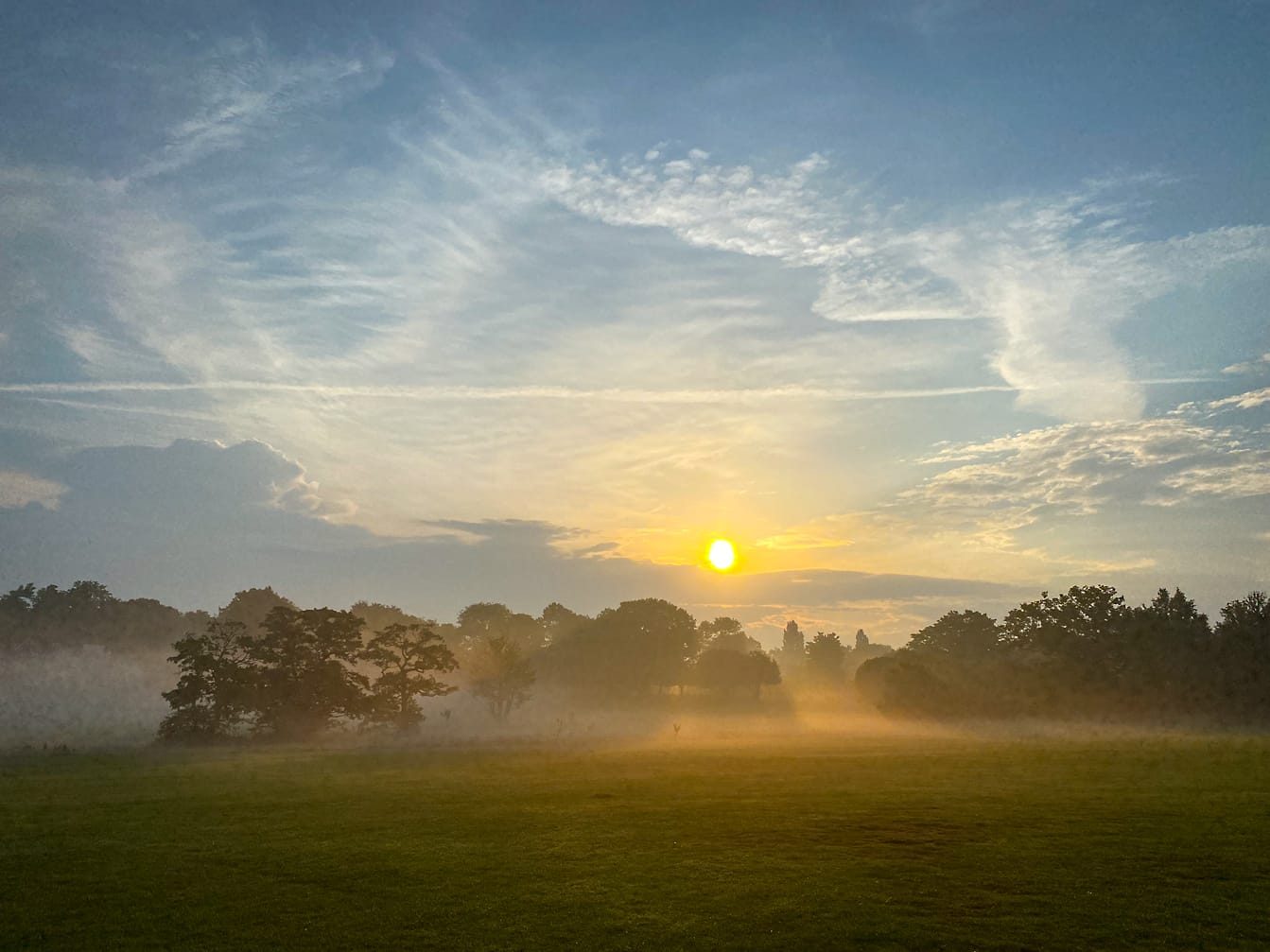 Knowle Park after the storms