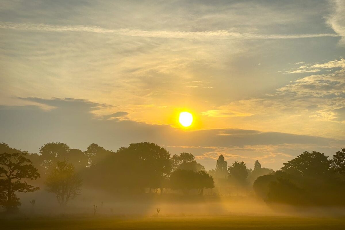 An August Morning after the Storms