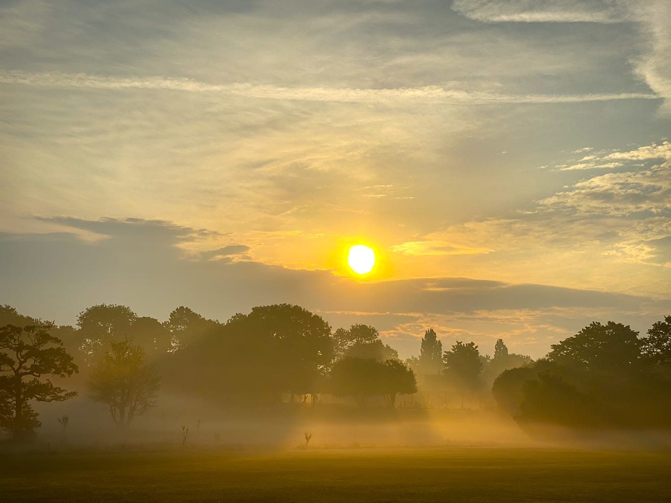 Knowle Park after the storms
