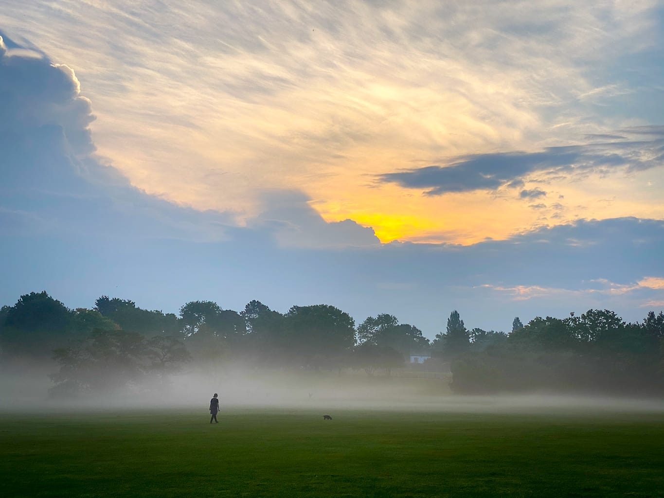 Knowle Park