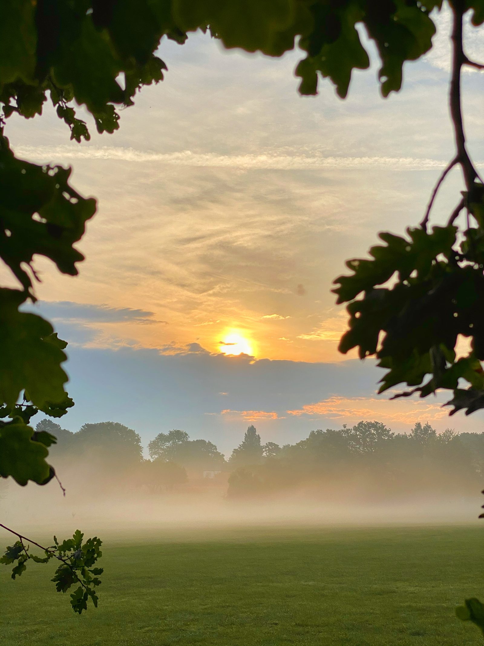 After the storm Knowle Park