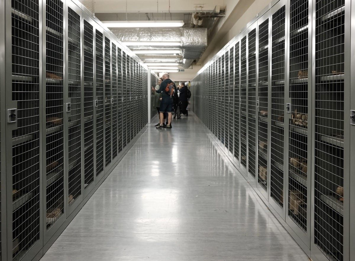 Birmingham Museums Collection Centre, Nechells, September 2023.