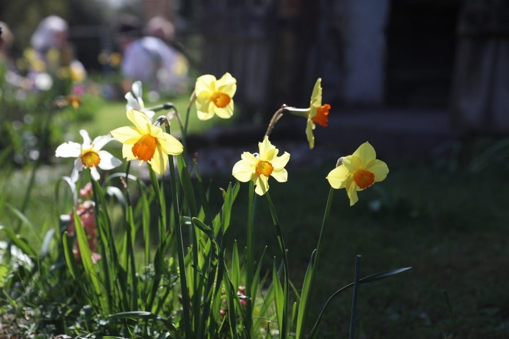 Berkswell Windmill Open Day, Ballsall Common, April, 2024