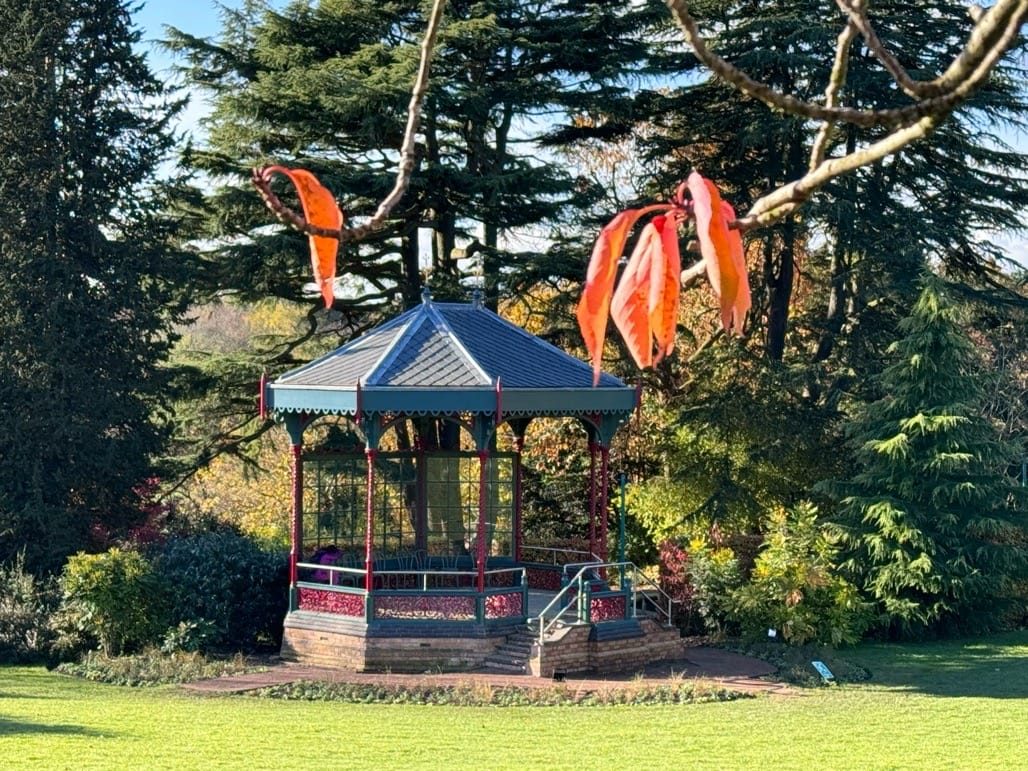 Birmingham Botanical Gardens, Birmingham, November 2023