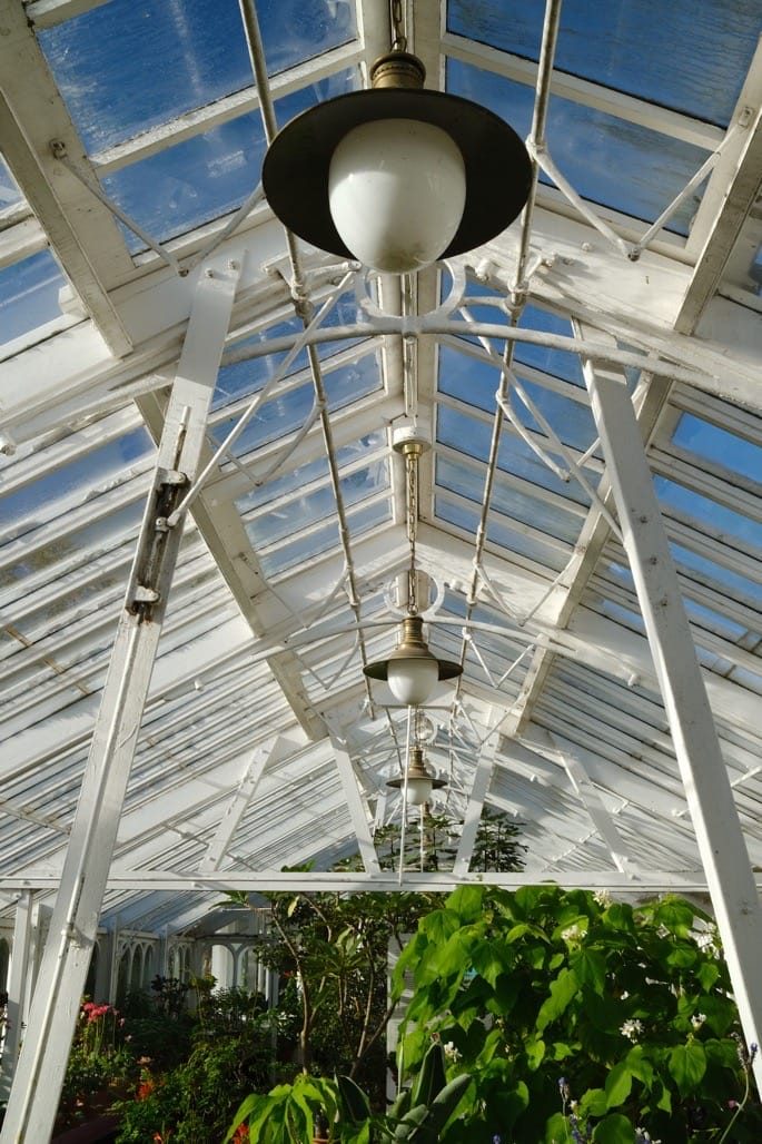 Birmingham Botanical Gardens, Birmingham, November 2023