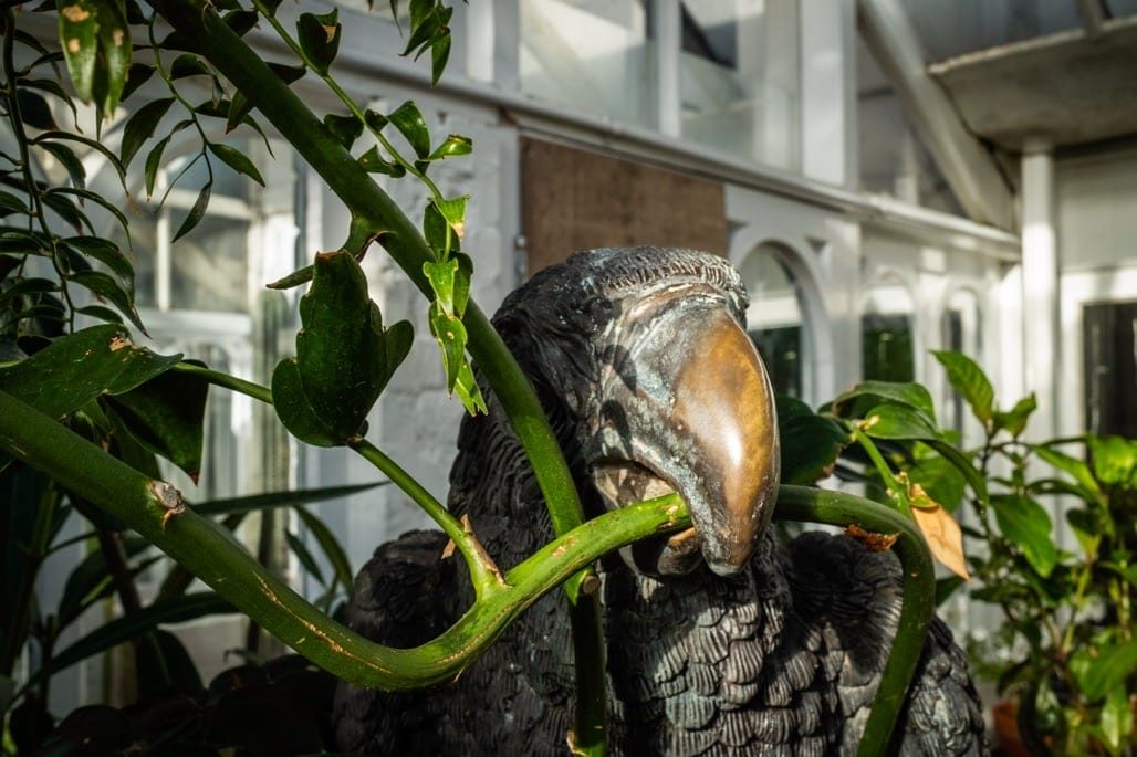 Birmingham Botanical Gardens, Birmingham, November 2023