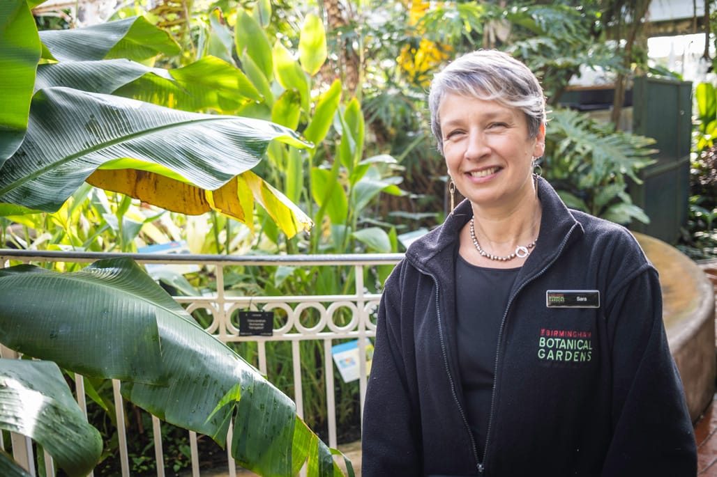 Birmingham Botanical Gardens, Birmingham, November 2023